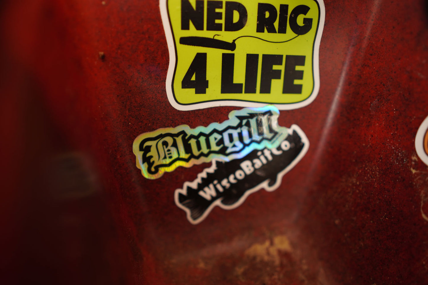 BLUEGILL HOLOGRAPHIC STICKER